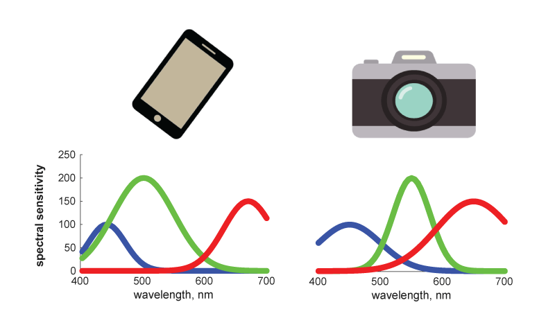 Description of image